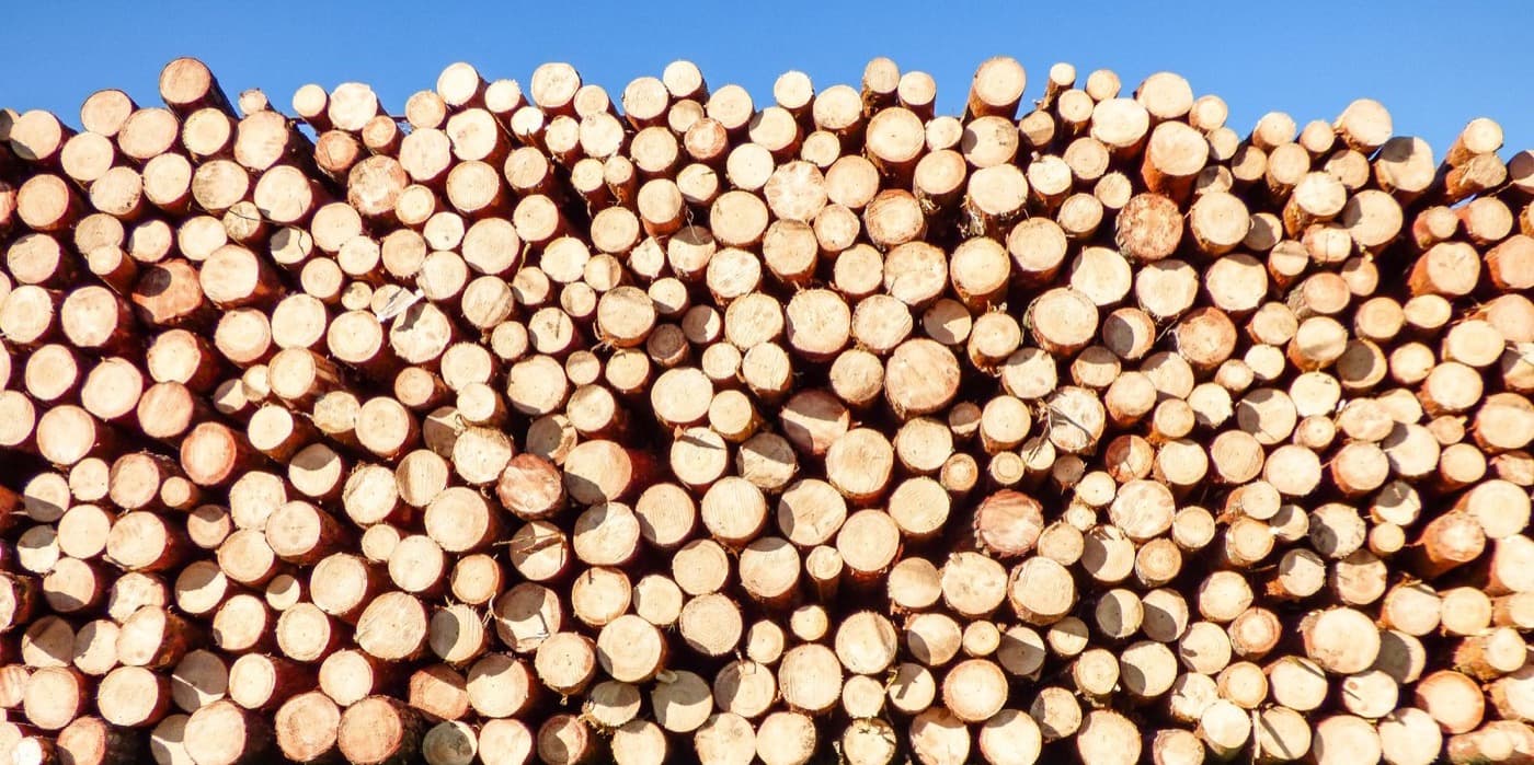 Drva